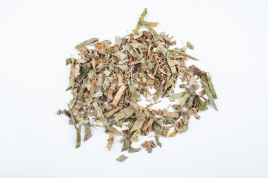 白背景上的中医中药材淫羊藿   