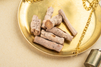 中医中药学概念图/铜秤盘上的中药材炒牛膝 