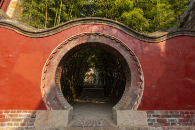 山东莒县定林寺里的千年古银杏之王