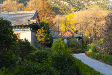 秋季的青岛崂山太清宫美景