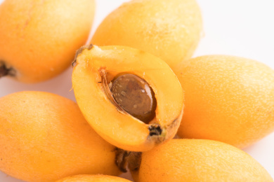 酸甜可口的新鲜水果——枇杷