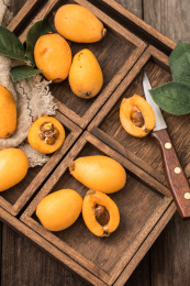 酸甜可口的新鲜水果——枇杷