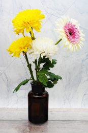 摆在桌子上的一瓶大丽菊插花