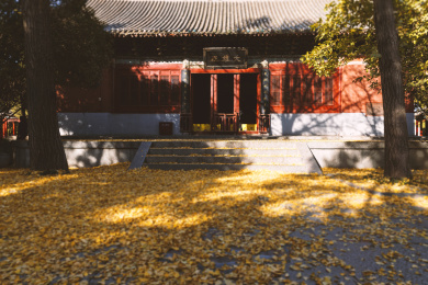 河南省洛阳市洛龙区白马寺景区