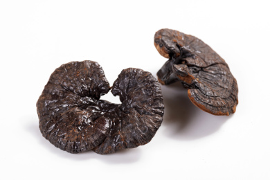 名贵中药材灵芝草摆放在桌面上