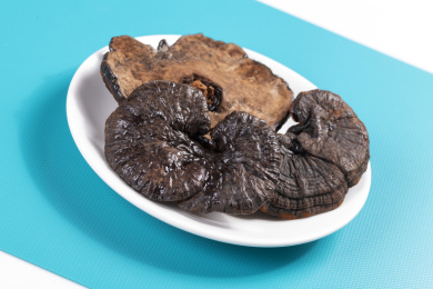 名贵中药材灵芝草摆放在桌面上