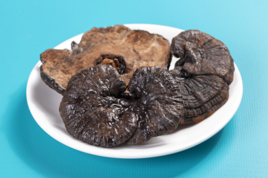 名贵中药材灵芝草摆放在桌面上