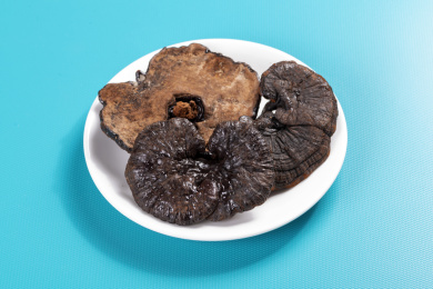 名贵中药材灵芝草摆放在桌面上