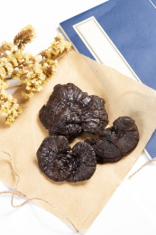 名贵中药材灵芝草摆放在桌面上