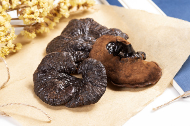 名贵中药材灵芝草摆放在桌面上