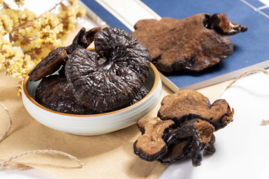 名贵中药材灵芝草摆放在桌面上