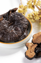 名贵中药材灵芝草摆放在桌面上