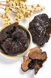 名贵中药材灵芝草摆放在桌面上