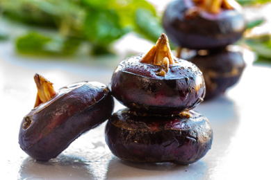 新鲜的广西荔浦马蹄