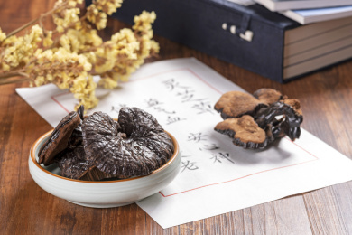 名贵滋补中药材灵芝摆放在桌面上