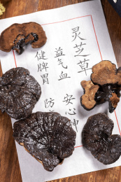 名贵滋补中药材灵芝摆放在桌面上