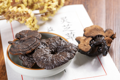 名贵滋补中药材灵芝摆放在桌面上