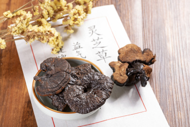 名贵滋补中药材灵芝摆放在桌面上