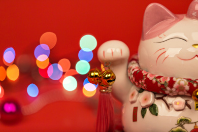 在红色背景中的招财猫