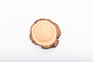 被切割成片状的有年轮的木头