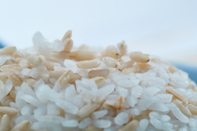 青釉瓷餐具装的大米燕麦米混合蒸饭特写