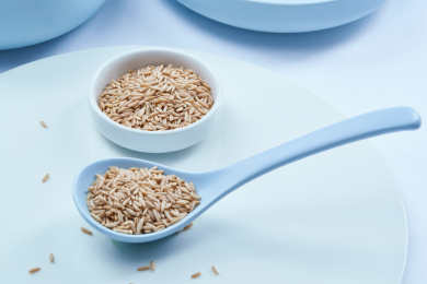 白色背景上的青釉瓷餐具装的燕麦米特写（莜麦）