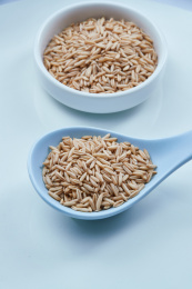 白色背景上的青釉瓷餐具装的燕麦米特写（莜麦）