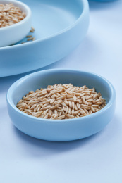 白色背景上的青釉瓷餐具装的燕麦米特写（莜麦）