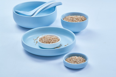 白色背景上的青釉瓷餐具装的燕麦米（莜麦）