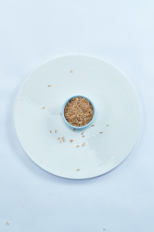 白色背景上的瓷餐具装的燕麦米（莜麦）