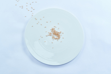 白色背景上的瓷餐具装的燕麦米（莜麦）