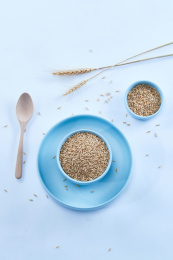 白色背景上的青蓝瓷器皿装的燕麦米（莜麦）