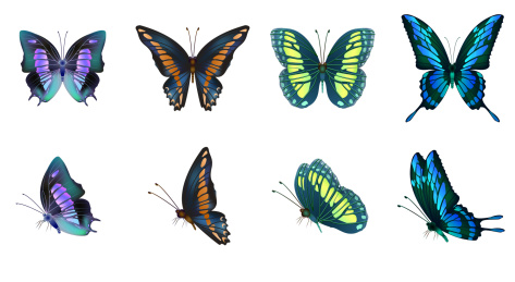 多款不同品种的蝴蝶平铺矢量素材插画