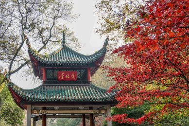 中国四大赏枫胜地之一长沙岳麓山爱晚亭红枫