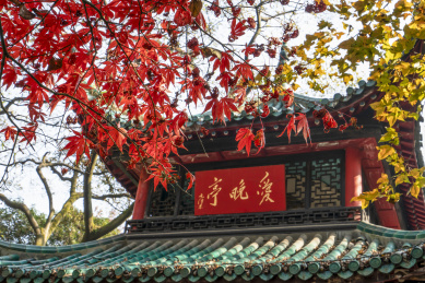 中国四大赏枫胜地之一长沙岳麓山爱晚亭红枫