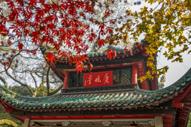 中国四大赏枫胜地之一长沙岳麓山爱晚亭红枫