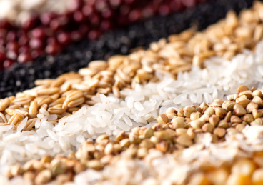 俯拍角度下摆放的五谷杂粮