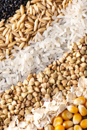 俯拍角度下摆放的五谷杂粮