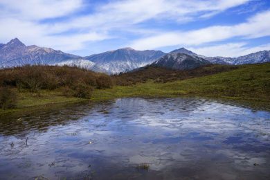 中国四川卧龙熊猫坪