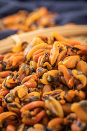 天然的海产品青口贝淡菜干