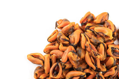 天然的海产品青口贝淡菜干