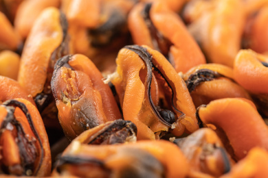 天然的海产品青口贝淡菜干