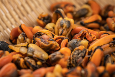 天然的海产品青口贝淡菜干