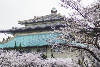 樱花盛开时的武汉大学，湖北省武汉市