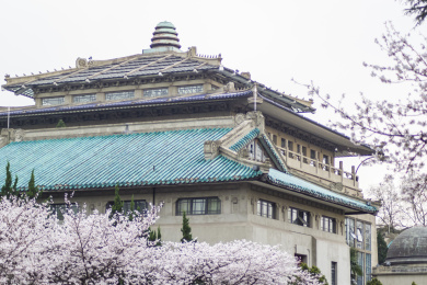 樱花盛开时的武汉大学，湖北省武汉市