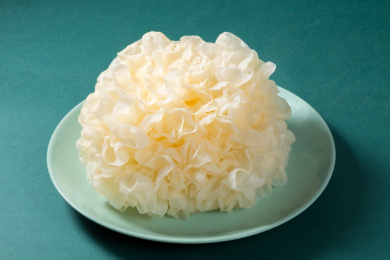 纯色背景中的新鲜食材银耳