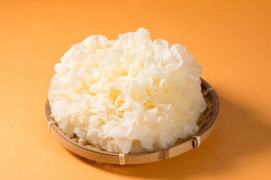 纯色背景中的新鲜食材银耳