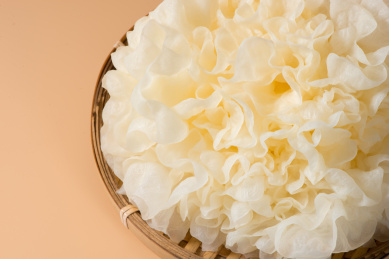 纯色背景中的新鲜食材银耳