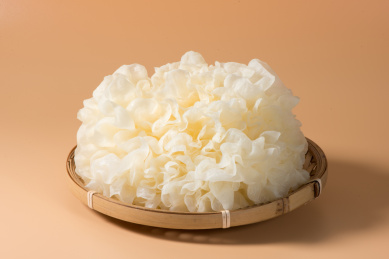 纯色背景中的新鲜食材银耳