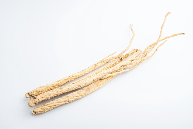 白背景上的中药材整根党参